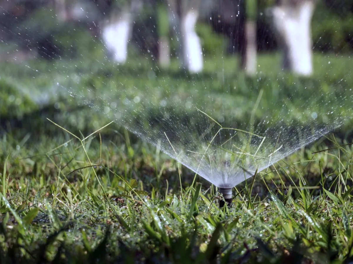A lawn sprinkler head spraying a fan of water across green grass
