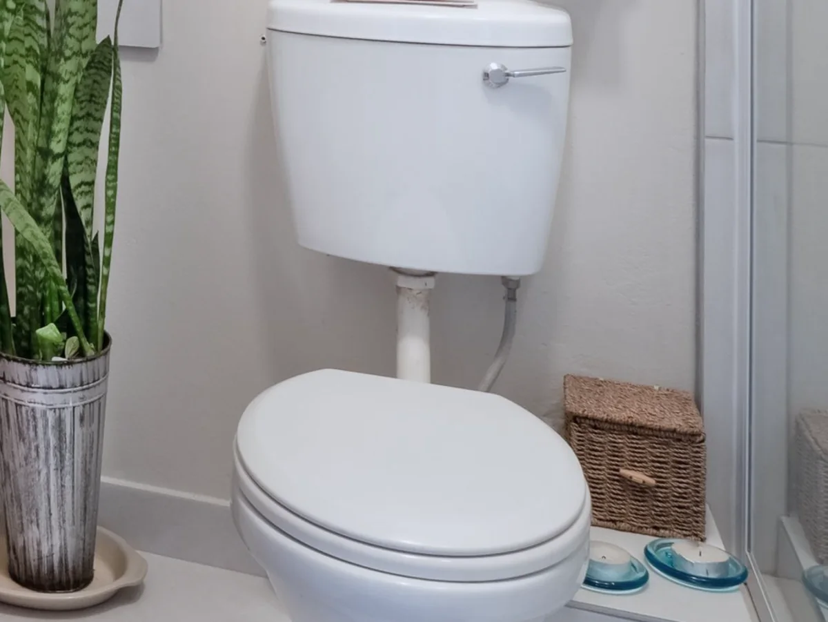 A white tank toilet in a bathroom, supply line and shutoff valve visible below the tank