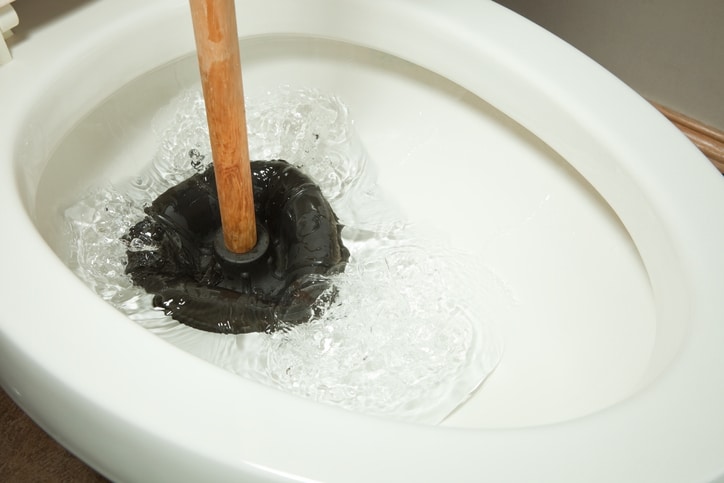 plunger in a toilet