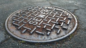 Read more about the article Signs You Need Professional Sewer Cleaning