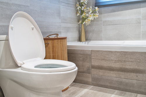 Read more about the article How to Properly Install a New Toilet