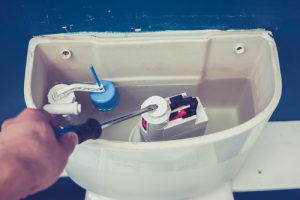 Read more about the article Everything You Need to Know About Toilet Fixes